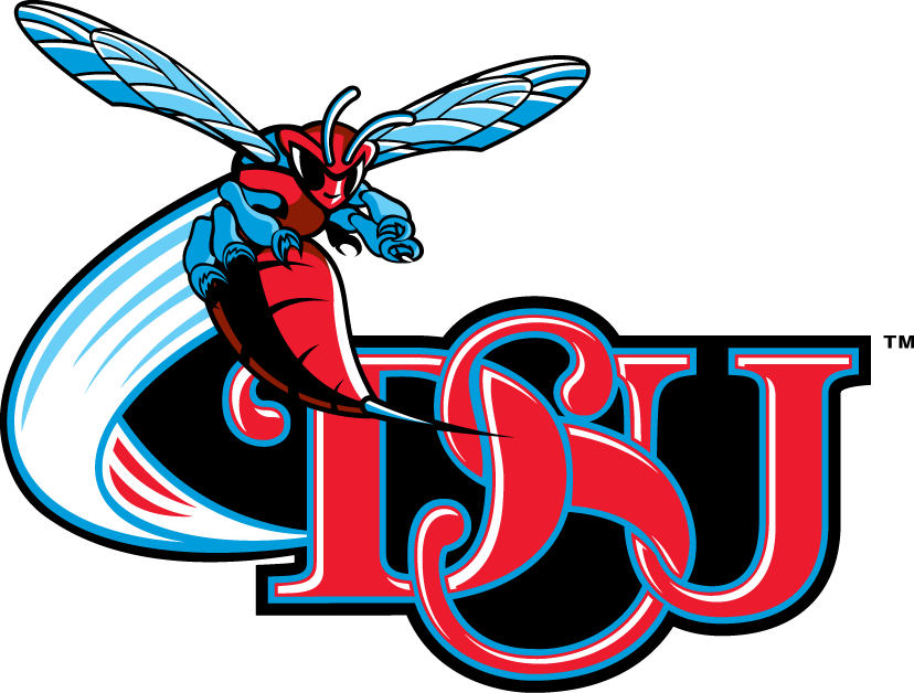 Delaware State Hornets 2004-Pres Alternate Logo v4 diy iron on heat transfer